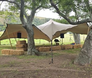 Marquees